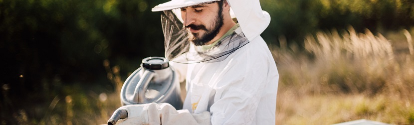 un apiculteur en travail