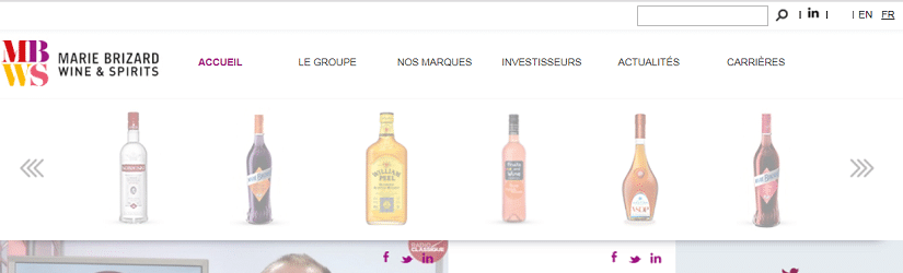 Capture de site Marie Brizard Wine & Spirits  